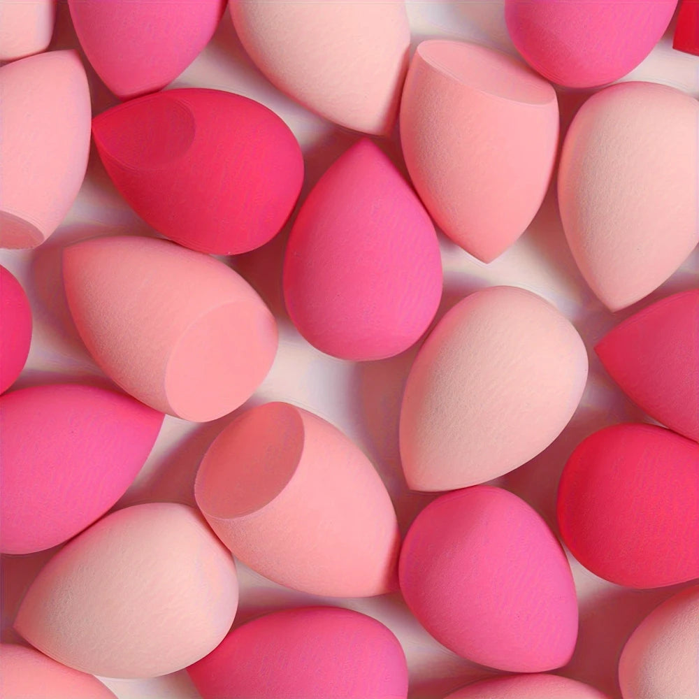Professional Makeup Sponge Set